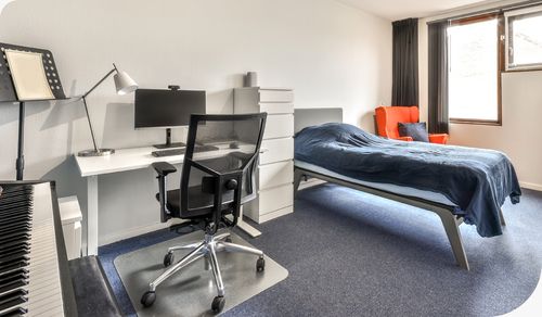 Office Design Trends 2024