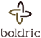 Boldric Logo